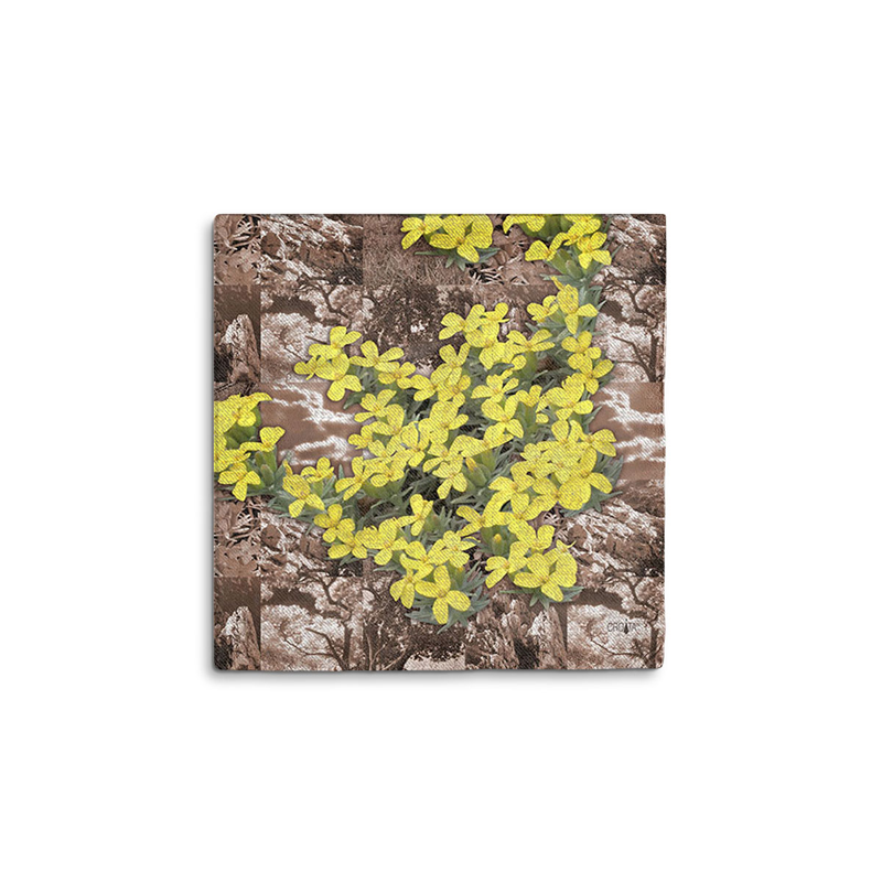 Rubac CROATA Dubrovnik Tematski Rubac, tematski Planina Velebit Smeđa  Vuna 48%, Svila 35%, Kašmir 17%  